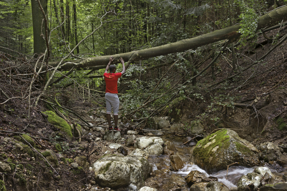 I came as a stranger